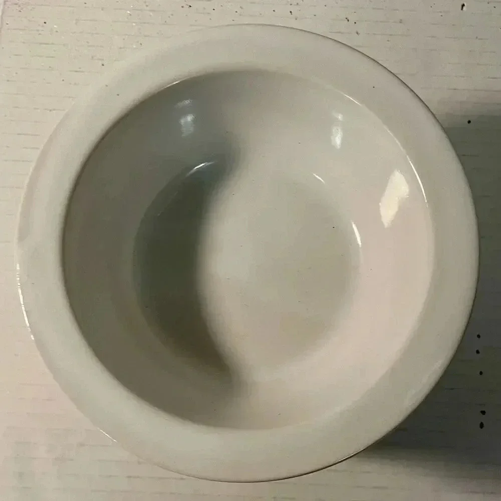 Dip‎ Chiller Winter Birds Base & Dip Bowl 2 pc Ceramic 5.75”W x 4”H